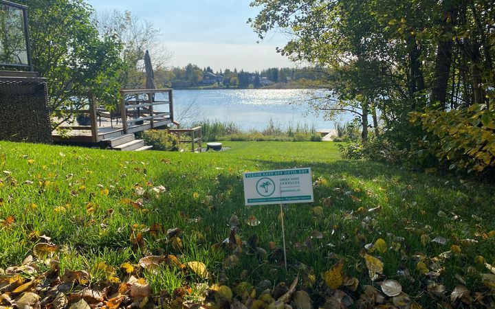 Fall Lawn Care: The Work You Do Now Matters Next Spring