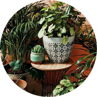 Mobilität