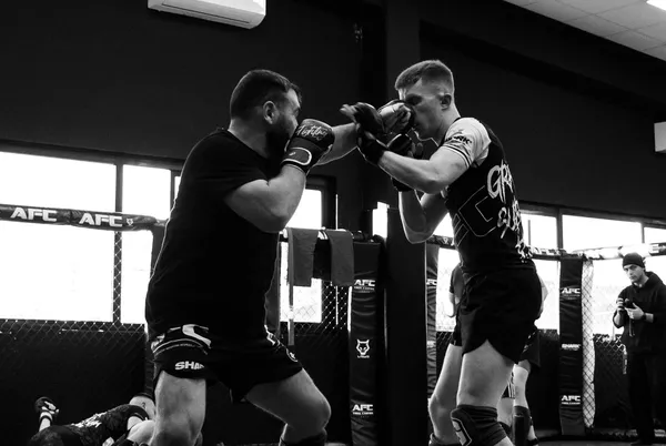 Gallery photo 3 — Manu Camara