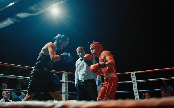 Gallery photo 4 — Manu Camara