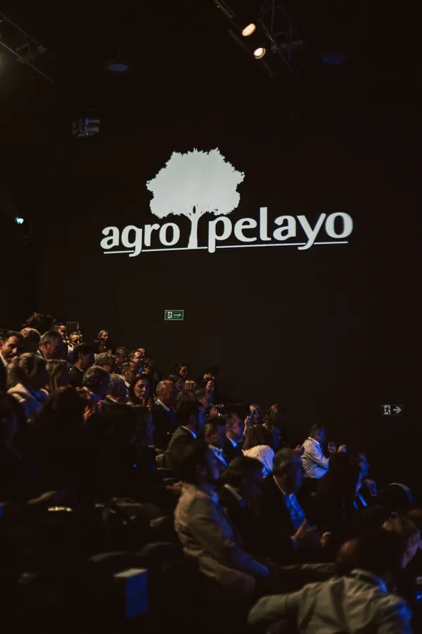 Gallery photo 3 — Manu Camara