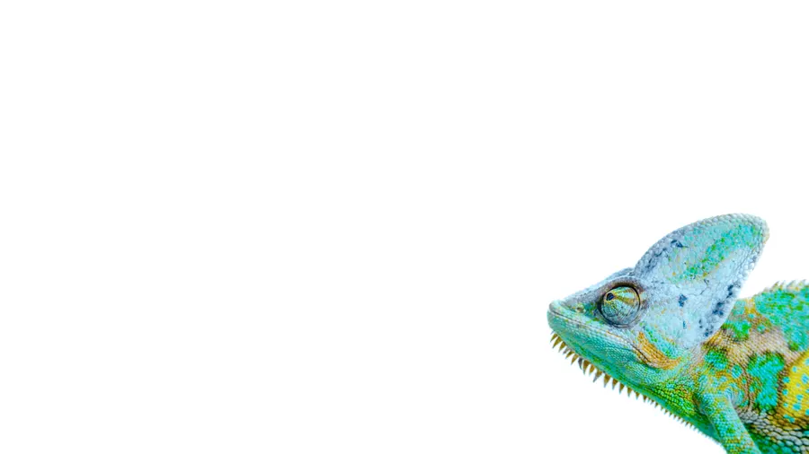 The eventcloud chameleon, eyeing up the headline