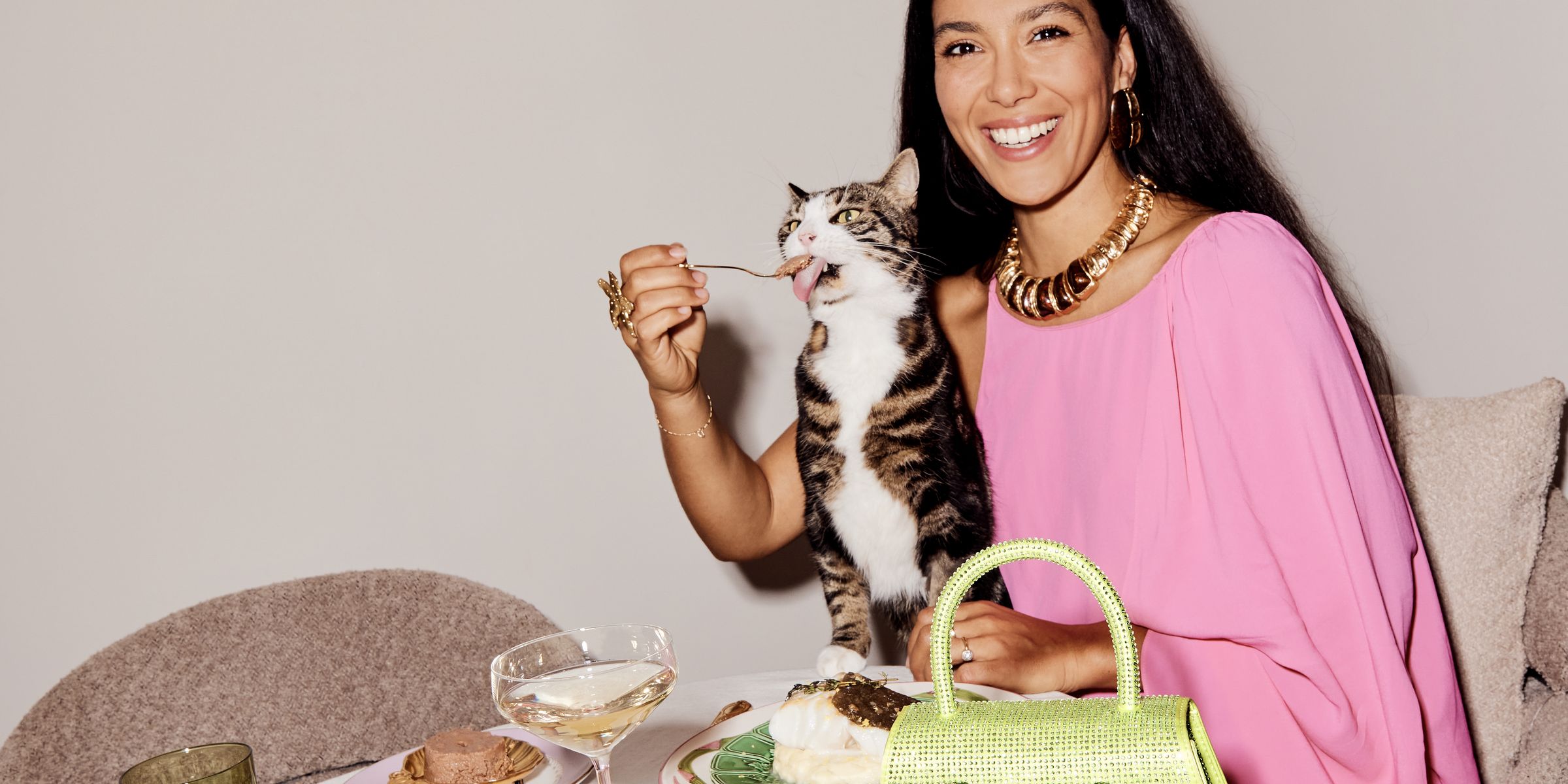 Purina Culicats — 2024 11 06 &C Purina 0466 final