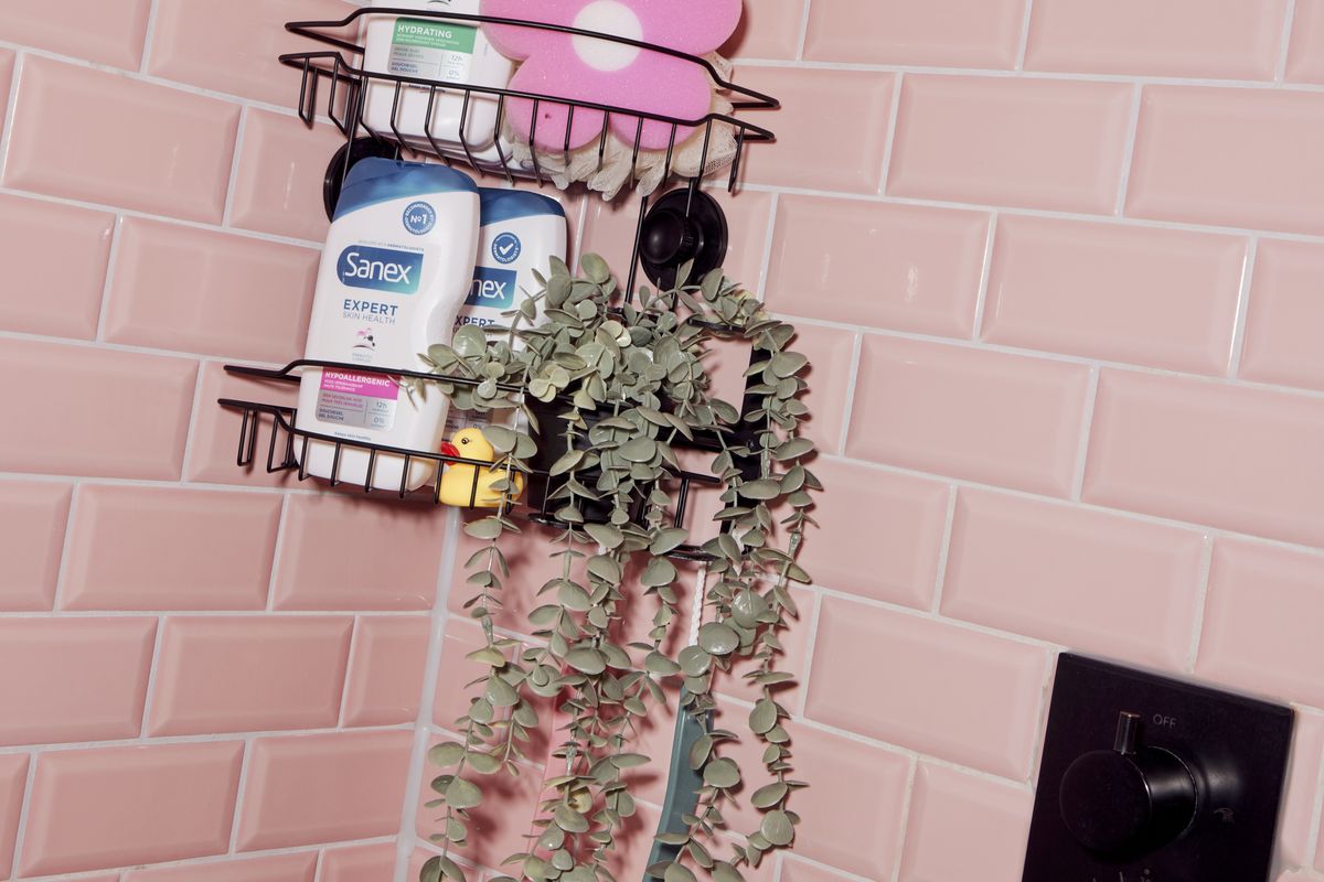 Sanex — 2024 06 25 &C Sanex 7486