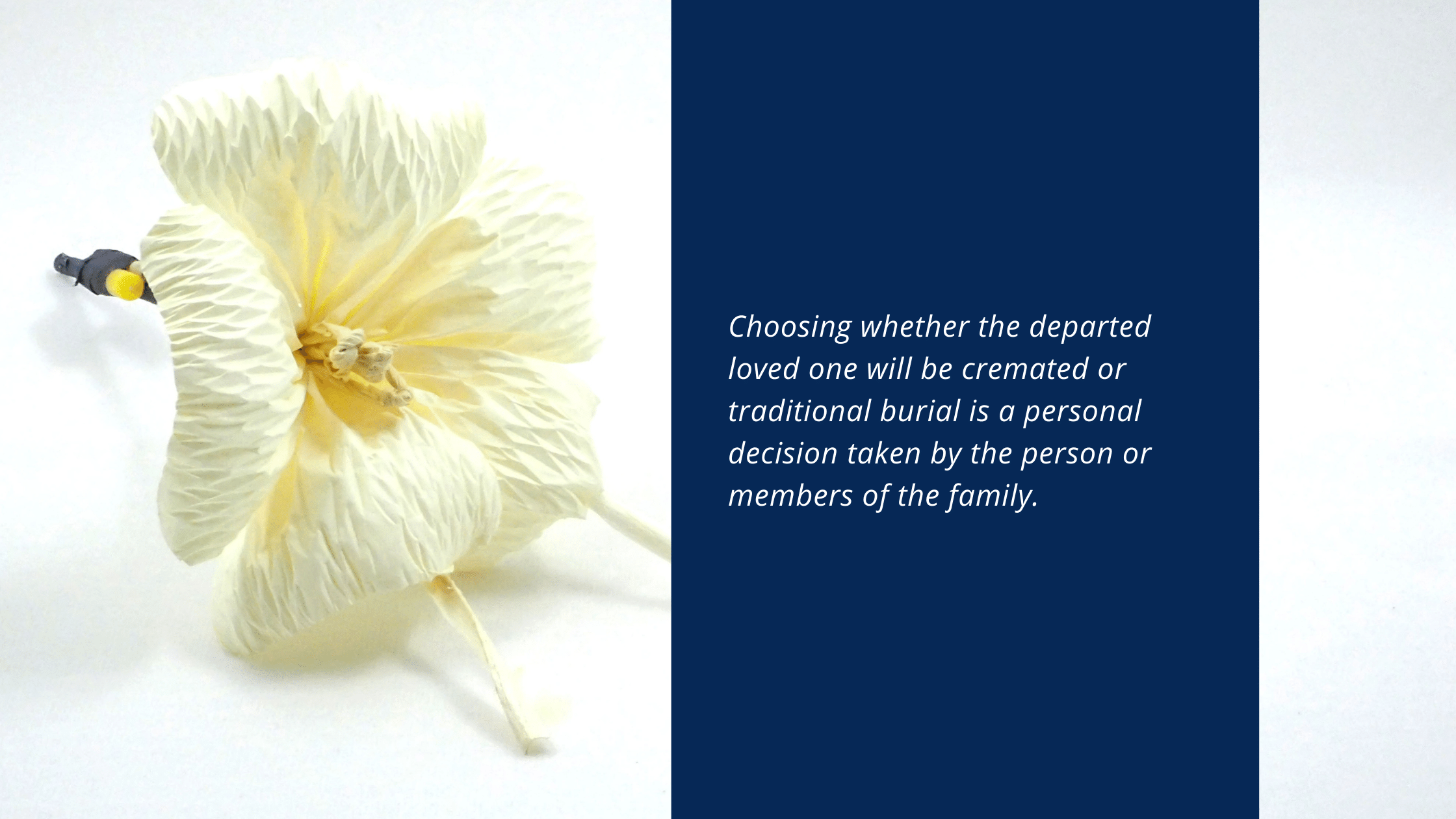 Which Is Better, Cremation Or Traditional Burial?