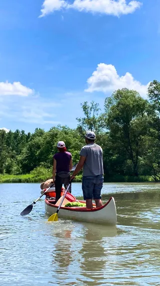 Two people paddle a canoe on a calm river surrounded by lush trees under a bright blue sky.