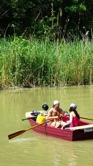 Three people in a red boat on a calm river, surrounded by tall green reeds and trees. One person is rowing.