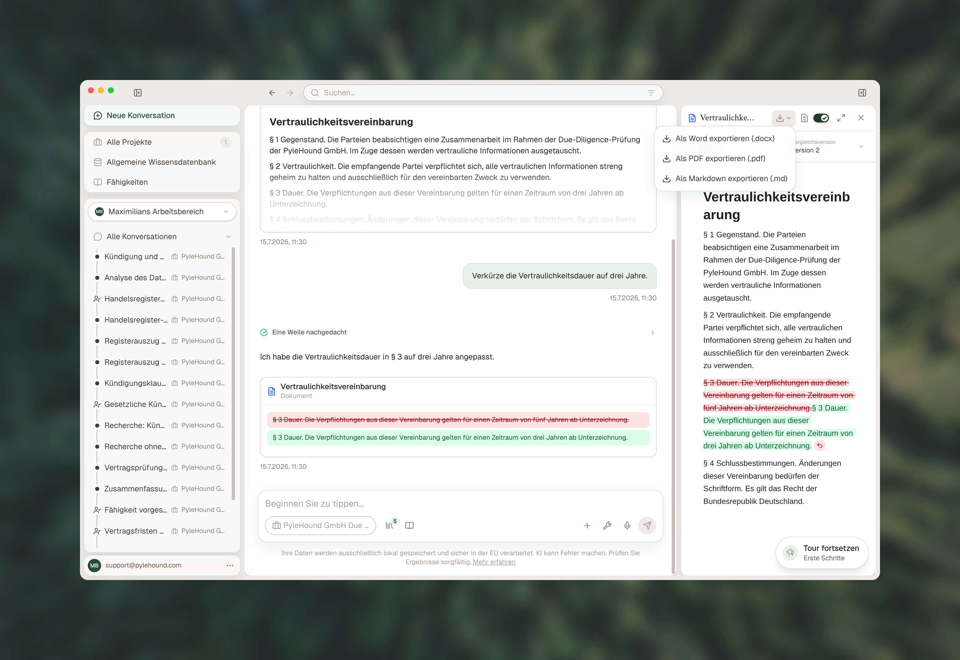 Word-Export im Vergleichsmodus