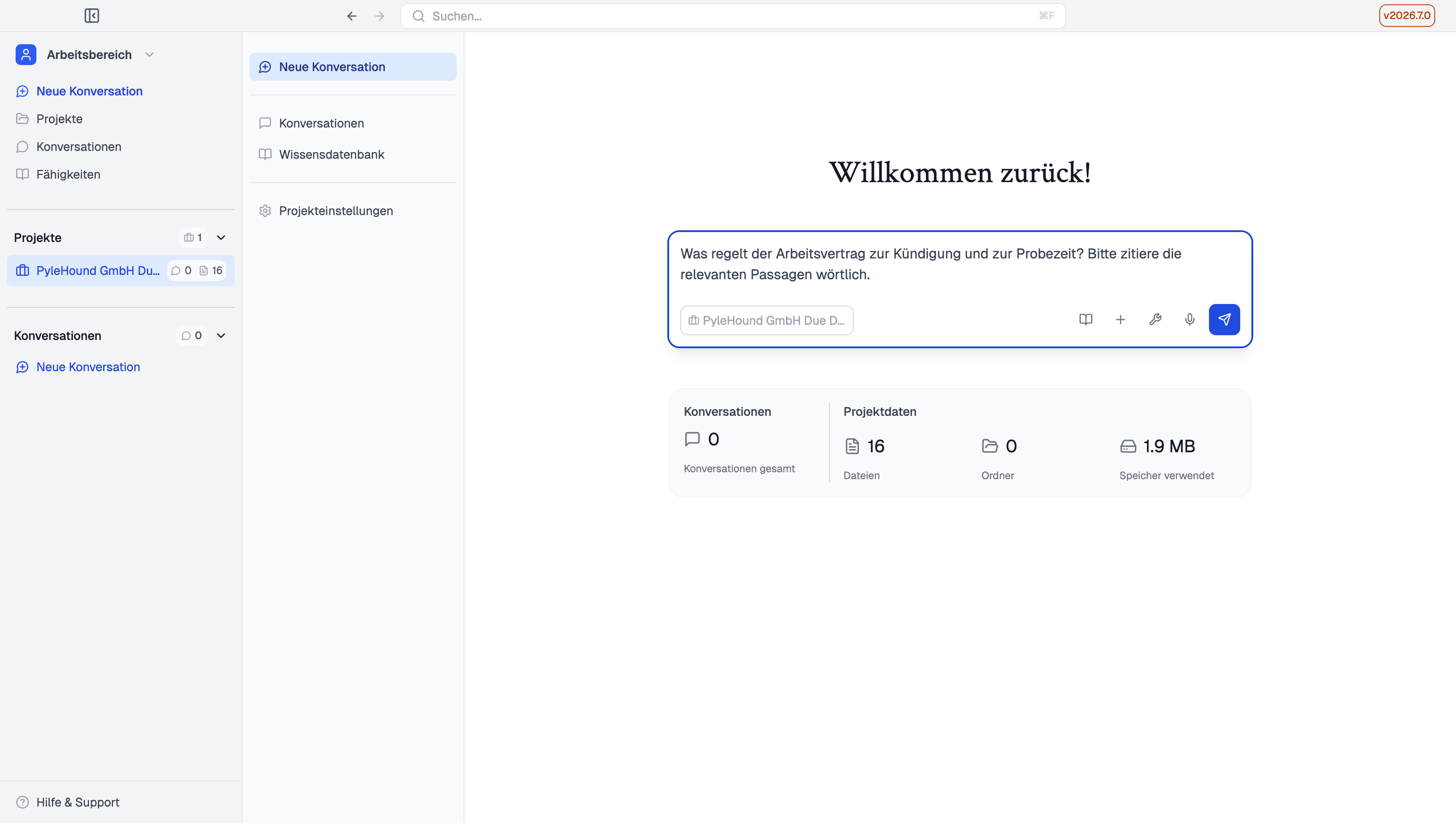 Frage im Eingabefeld des Projekts