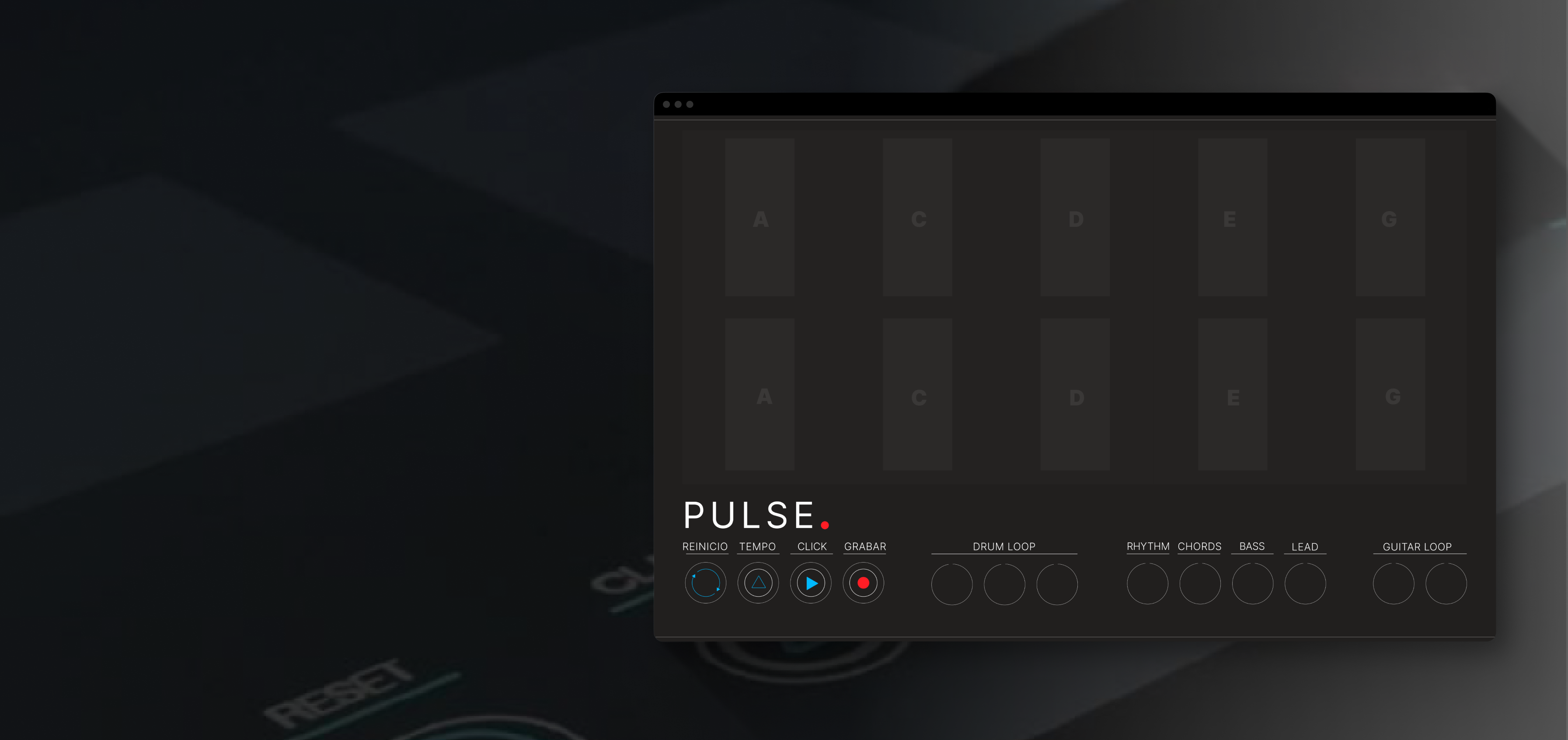 PULSE DJ + Live Music