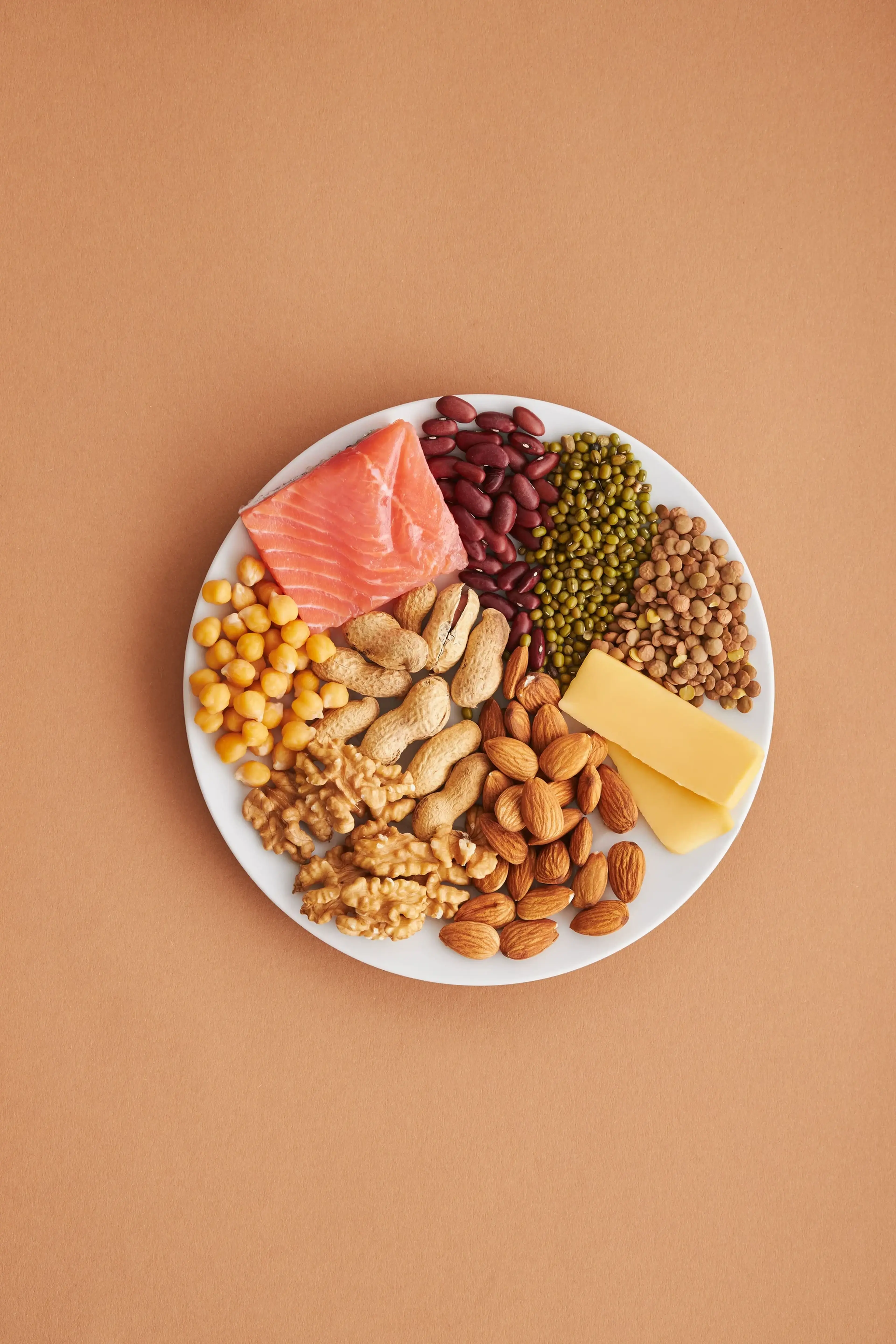 Wit bord met eiwitrijke ingrediënten zoals zalm, kikkererwten, bonen, linzen, noten en kaas op een terracotta ondergrond.