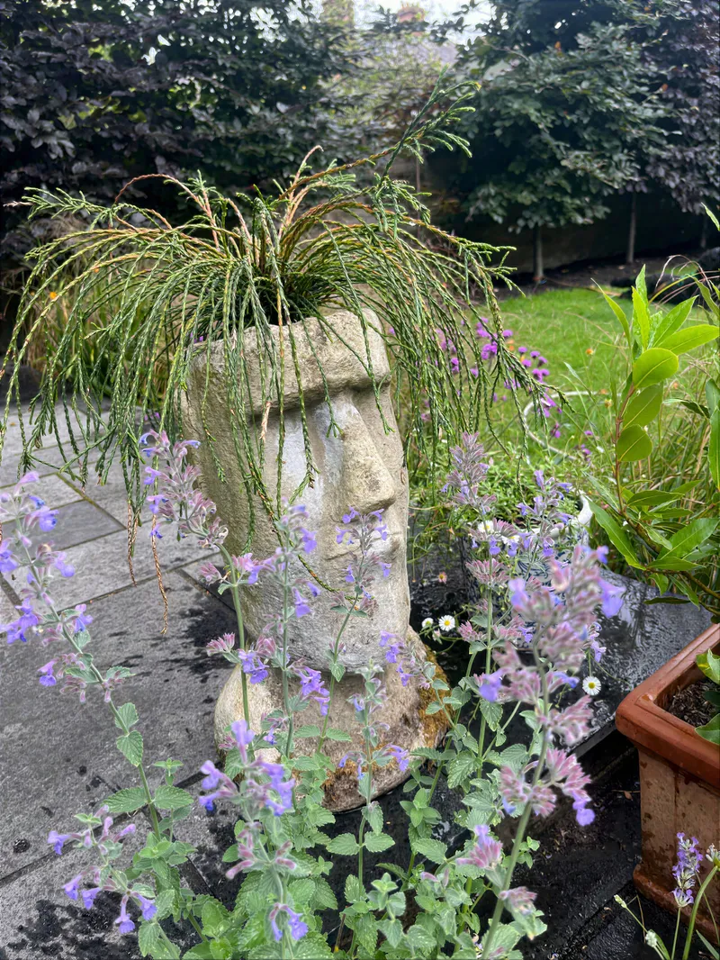 A border of purple planting with a stone garden sculpture