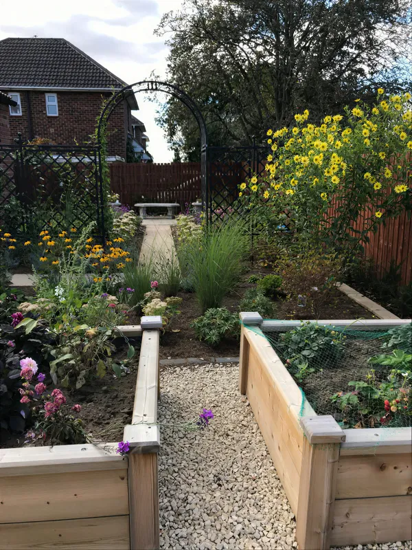 Raised timber beds in a kitchen garden