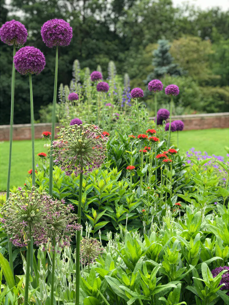 A border of pink and white flowering perennials