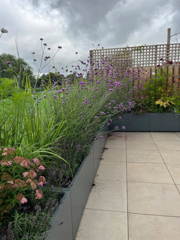 A curved garden path bordered by lavender