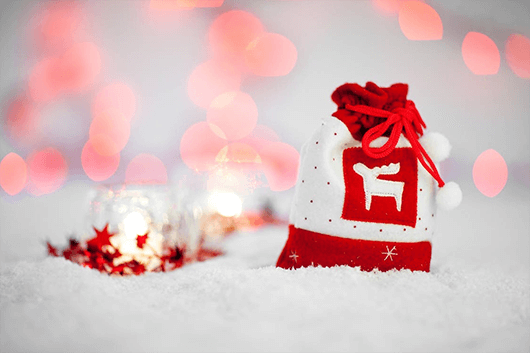 Holiday Reflections on the Season of Giving