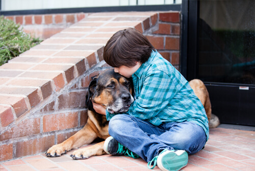 A Family Guide to Coping With Dog Loss