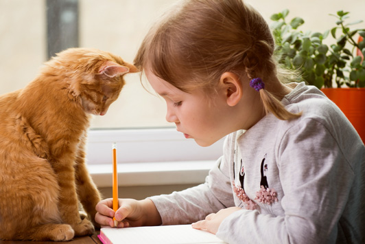 Pet's Role in Online Learning