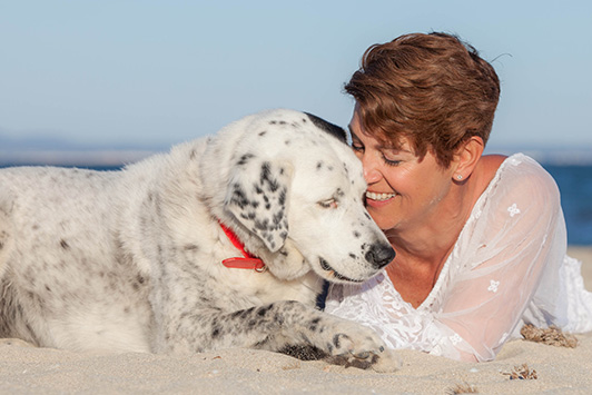 Fostering Senior Dogs & Cats: A Guide to Making a Difference