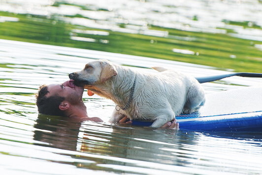 Toxic Algae and Dogs: Why Pond Water Can Be Deadly