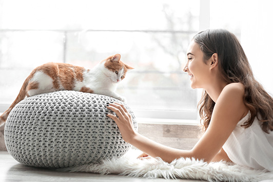5 Ways To Optimize Your Cat's Health
