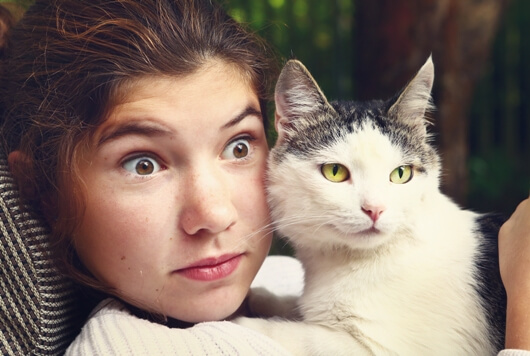 World's Creepiest Cat Legends