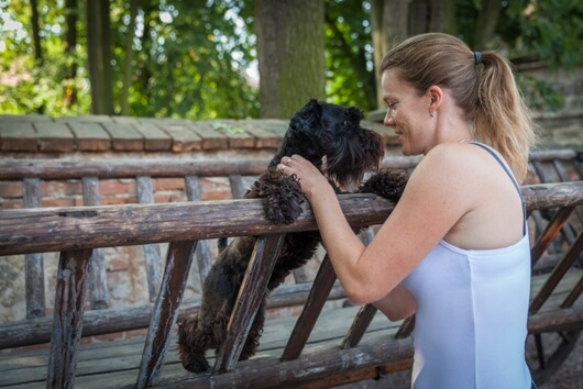 Protect Your Dog from Heat Exhaustion & Heat Stroke