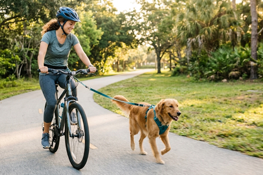 Biking With Your Dog: Safety and Training Tips