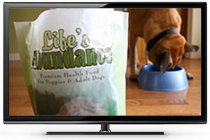 Life's Abundance on the Discovery Channel