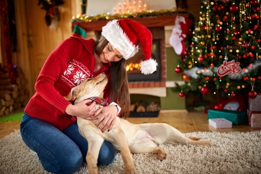 12 Dog Days of Christmas: Holiday Safety for Dogs