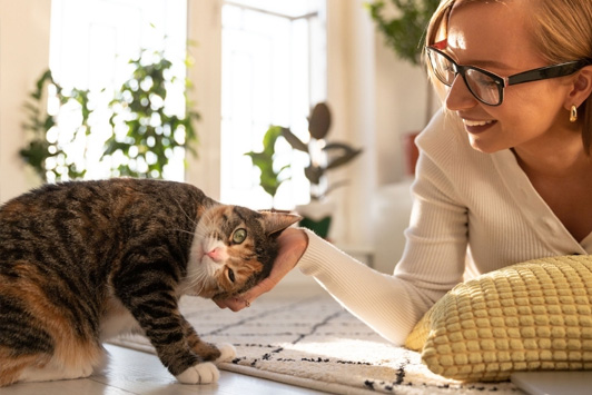 Health Benefits of Living with Cats