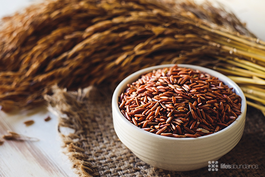 5 Powerful Benefits from One Amazing Grain