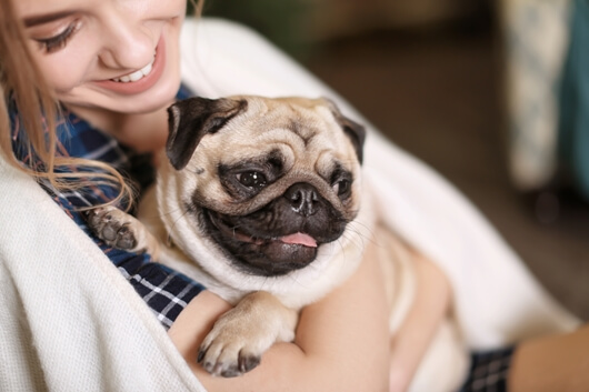 Life's Abundance Foundation Awards Grants to 9 Rescue Groups