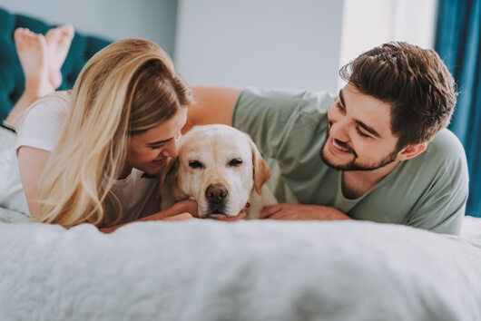 Vaccine Guide for Dogs and Cats