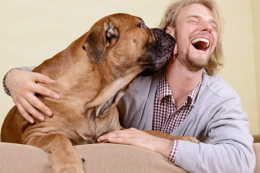 Dogs Sense Your Emotions: How They Know