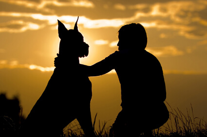 Coping with the Loss of a Pet