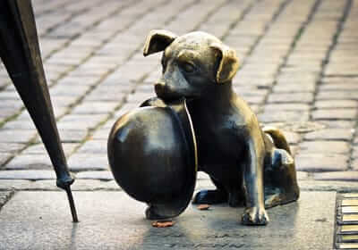 Ways to Memorialize Your Beloved Dog
