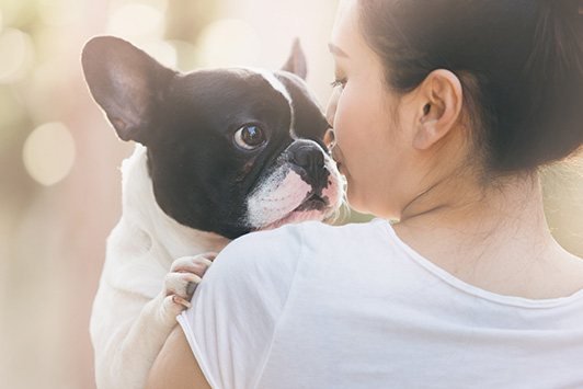3 Ways To Keep Your Dog Safe This Summer
