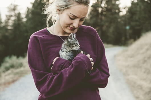 Cat Adoption Guide: Finding Your Perfect Feline Companion