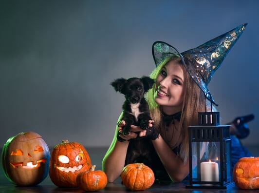 Five Spooky Dog Superstitions & Legends