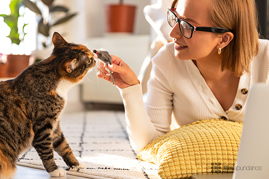 Pets Need New Year's Resolutions Too