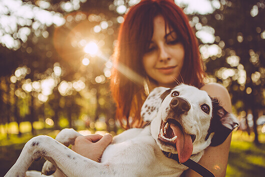 COVID-19 and Your Dogs and Cats