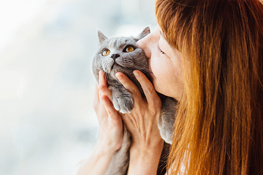 The Best of Cat News