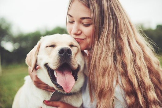 Mushrooms and Dog Cancer: A Promising Veterinary Study