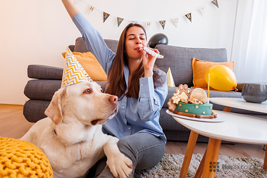 How to Celebrate Your Pet's Birthday or Gotcha Day