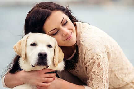 Recognizing Urinary Tract Illness in Dogs and Cats