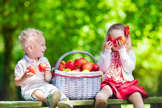 Red, Green or Cooked? It's Apple Season