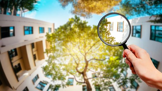 Vier Tipps für mehr Nachhaltigkeit in Immobilienverwaltungen