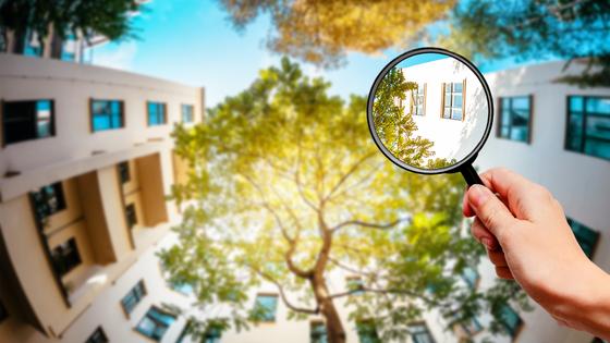 Vier Tipps für mehr Nachhaltigkeit in Immobilienverwaltungen