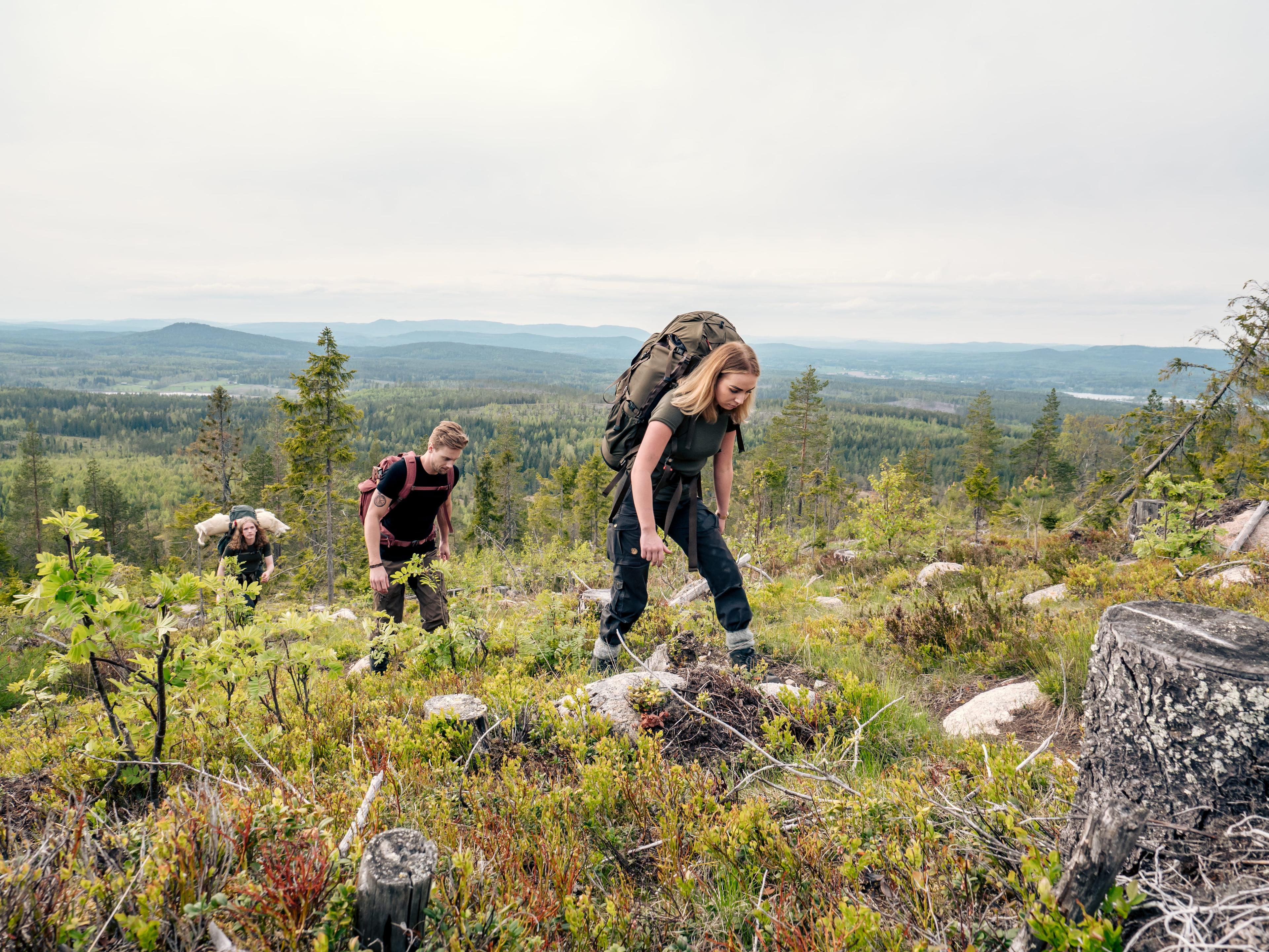 Three hikers with backpacks ascend a grassy hillside with scenic views of forests and distant mountains under a cloudy sky.